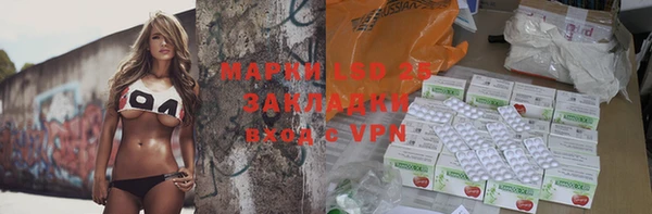 дмт Богданович