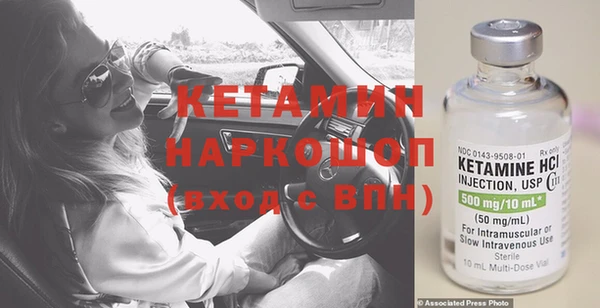 дмт Богданович