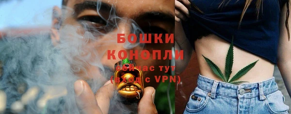 дмт Богданович