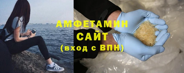 дмт Богданович