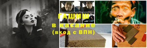 дмт Богданович