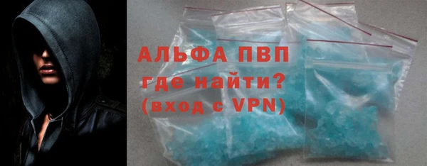 дмт Богданович