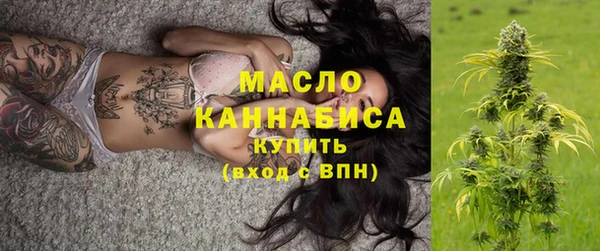 мдпв Богородицк