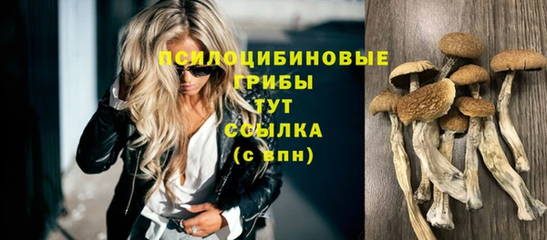 мдпв Богородицк