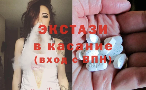 дмт Богданович