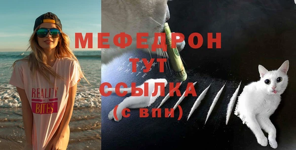 дмт Богданович