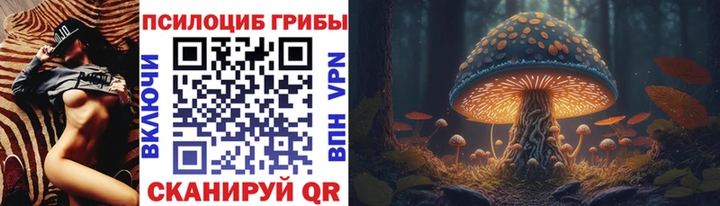 что такое   Санкт-Петербург  Псилоцибиновые грибы мухоморы 